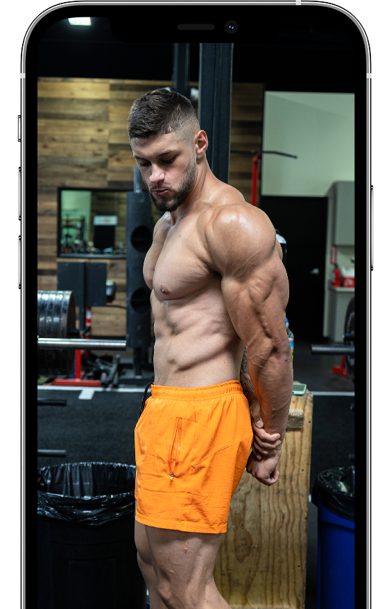 Full-body training
programs shown on a device